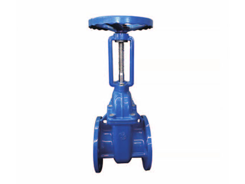 Ductile iron gate valve N0.2