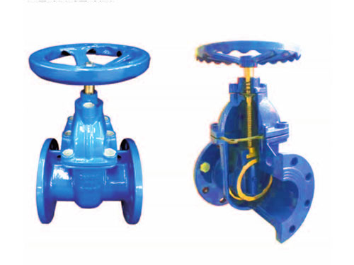 Ductile iron gate valve