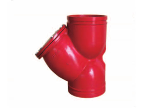 Fire fighting grooved check valve